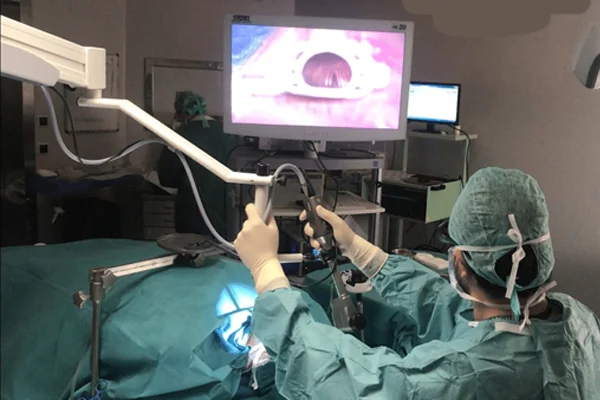 Microlaryngeal Surgery